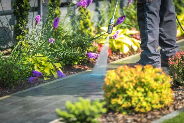Professional Pressure Washing in Moraine, OH
