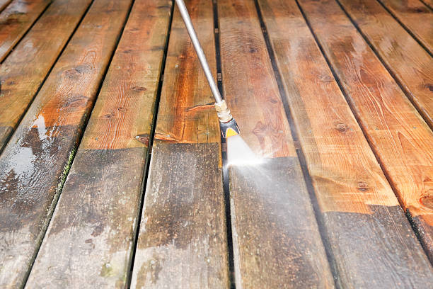 Animal Enclosure Cleaning in Moraine, OH